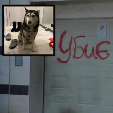 Шок! Лекар прегази куче, търсят справедливост в София!