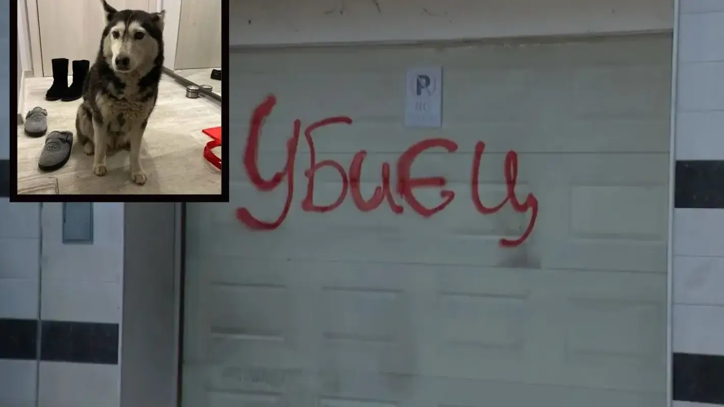 Шок! Лекар прегази куче, търсят справедливост в София!