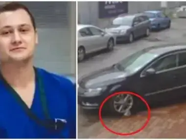 Шок! Лекар-садист убива бездомно куче в София!