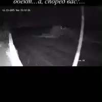 Смут в нета: Коцето видя НЛО