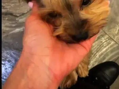 Светлана Василева показа СИНИНИТЕ от побоя снощи! (СНИМКИ)