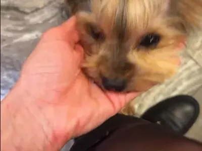 Светлана Василева показа СИНИНИТЕ от побоя снощи! (СНИМКИ)