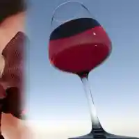 Адел шокира с признание: 25 бутилки вино и трезвеност!