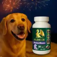 Грижа за уплашените кучета: Как RELAX MOON помага при стрес от фойерверки