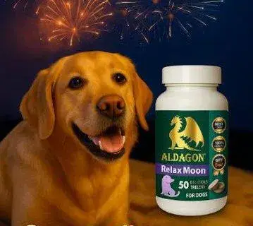 Грижа за уплашените кучета: Как RELAX MOON помага при стрес от фойерверки