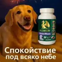 Грижа за уплашените кучета: Как RELAX MOON помага при стрес от фойерверки