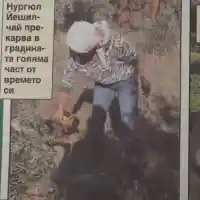 Гюлсерен стана фермерка на село