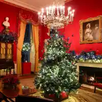 Мелания Тръмп изненада с коледната украса на Белия дом!