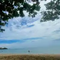 Най-четената авторка намери рая