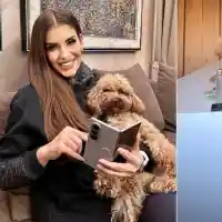 Нов тренд: Шоколадовият пудел е хит сред звездите! Струва 8 бона (СНИМКИ)