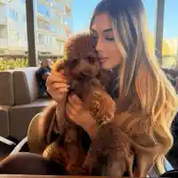 Нов тренд: Шоколадовият пудел е хит сред звездите! Струва 8 бона (СНИМКИ)