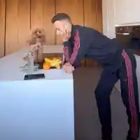 Нов тренд: Шоколадовият пудел е хит сред звездите! Струва 8 бона (СНИМКИ)