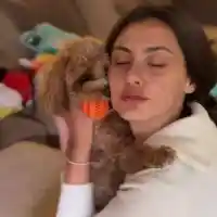 Нов тренд: Шоколадовият пудел е хит сред звездите! Струва 8 бона (СНИМКИ)