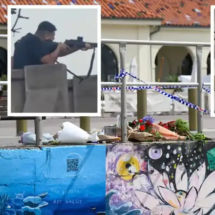 Оцелелият стрелец от плажа Бонди с 59 обвинения, събраха $1,5 млн. за героя Ахмед (снимки/видео)