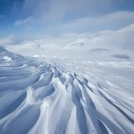 Шок! Вълчи студ сковава Европа с рекорди до -37°C!
