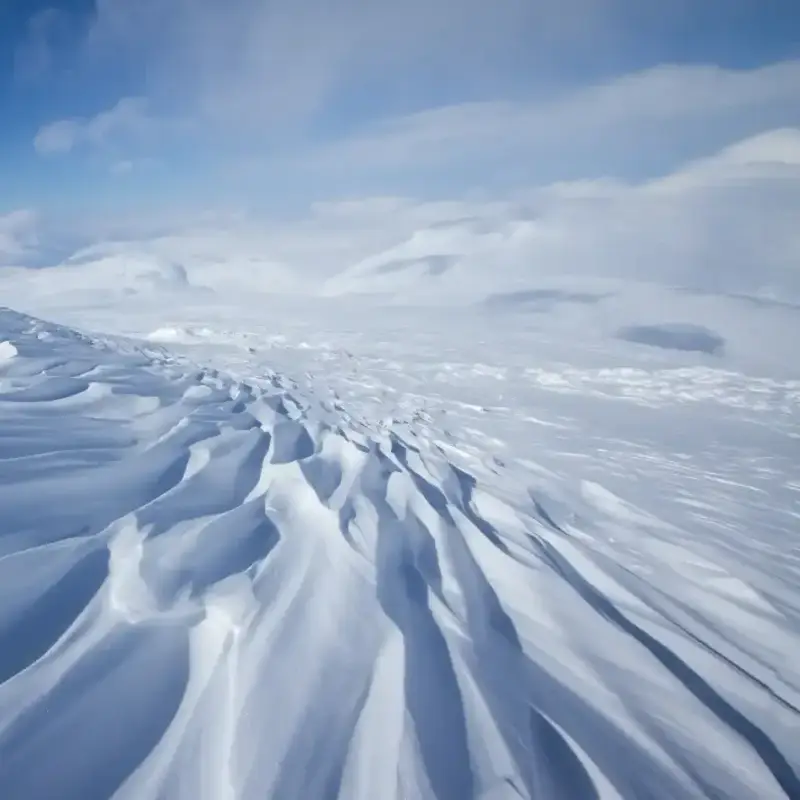 Шок! Вълчи студ сковава Европа с рекорди до -37°C!