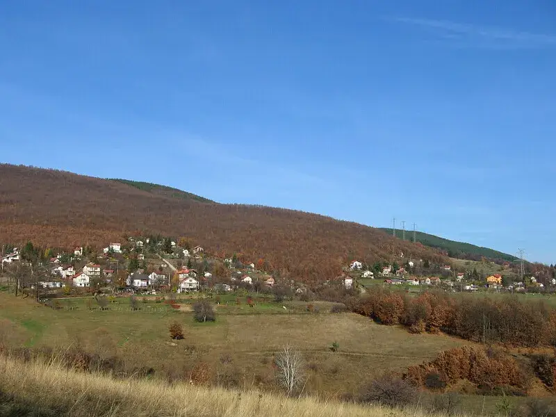 София стана лудница, богаташите се изнасят в комплекси с алпийски стил!