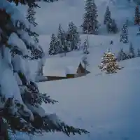 Скандалните тайни на празничните пътешествия!