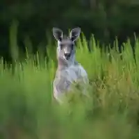 Скандалните тайни на празничните пътешествия!