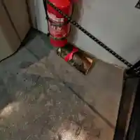 Скандал в София: Вандали хвърлят дърво по автобус!