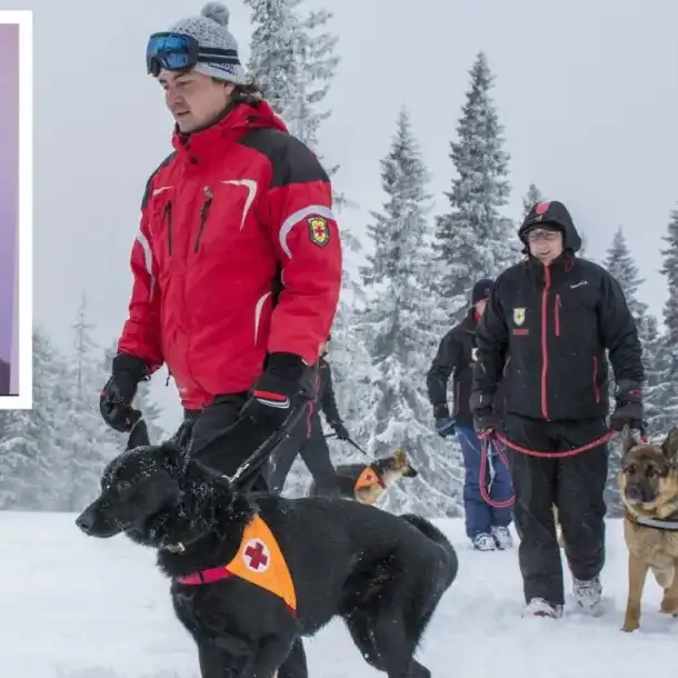 Изчезнал младеж на Витоша: Кучета и дрон в спасителната акция!