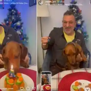 Зуека шокира с кучешки рожден ден в Испания!