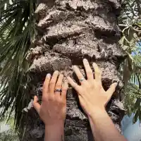 Азис шокира с брак във Флорида – кой е мистериозният съпруг?