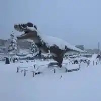 Динозаври завладяват София! Не пропускайте това уникално шоу!