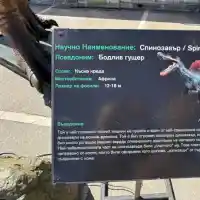 Динозаври завладяват София! Не пропускайте това уникално шоу!