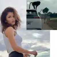 ЕКШЪН: Диви животни нападнаха Славена Вътова по време на сафари!