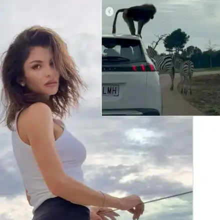 ЕКШЪН: Диви животни нападнаха Славена Вътова по време на сафари!