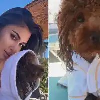 Ергенка и кучето й се премениха в тон