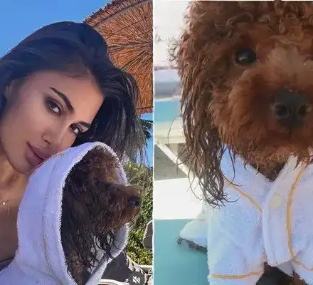 Ергенка и кучето й се премениха в тон