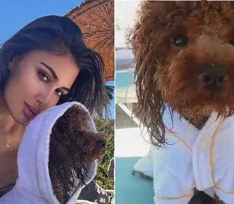 Ергенка и кучето й се премениха в тон