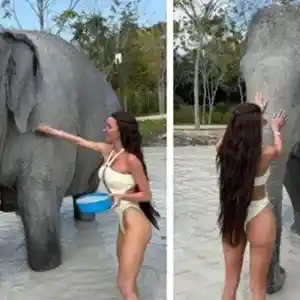 Селина в шокиращ стриптийз с... слон в Тайланд!