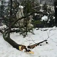 Хаос, леден дъжд, евакуация и хора без ток в Сърбия, има опасност река Лим да прелее (снимки)