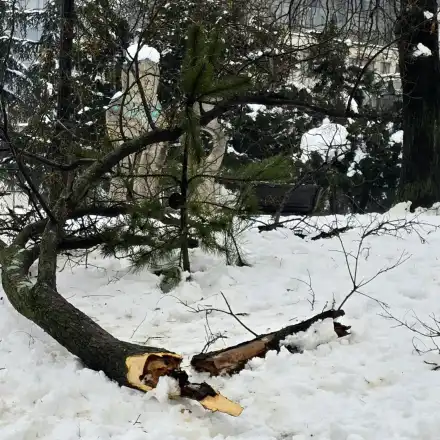 Хаос, леден дъжд, евакуация и хора без ток в Сърбия, има опасност река Лим да прелее (снимки)