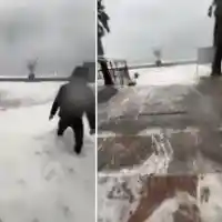 Шок! Италия в бедствие: Извънредно положение след опустошителен циклон!