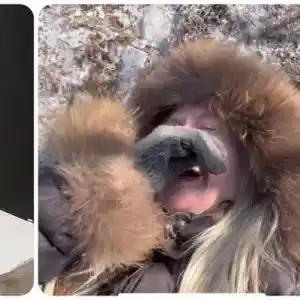 Шок! Мария Игнатова пада в парка по време на разходка!