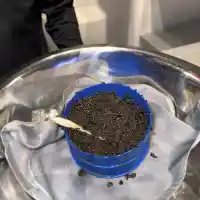 Мила Роберт шокира с хайвер и философия за живота!