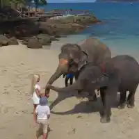 Венета Кръстева нахрани слончета в Тайланд - шокиращи кадри!