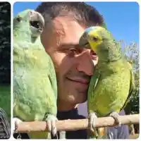 Жоро Игнатов разкрива тайните на забавните си папагали!