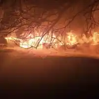 Пожар изпепели историческия комплекс "Фанагория" във Варна, загинаха 7 коня (видео/снимки)