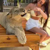 Селина си играе с тигри и лъвове