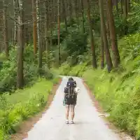 Скандални тайни за пътуванията през 2026 г. – не ги пропускай!