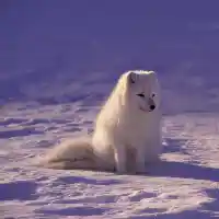 Шокиращи рискове при пътуванията: Какво да знаеш днес!