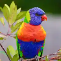 Вдъхновен февруари в Travellove.bg - очарователни дестинации и увлекателни истории, които изумяват и вдъхновяват още от първата седмица на романтичния месец