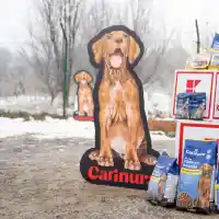 Шок! Kaufland дари 12 тона кучешка храна на приютите в София!
