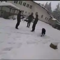 Гергана Стоянова разкрива шокираща истина за случая „Петрохан“!