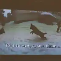 Бащата на Николай Златков с показания, че майката дала момчето на Калушев на 11 г.